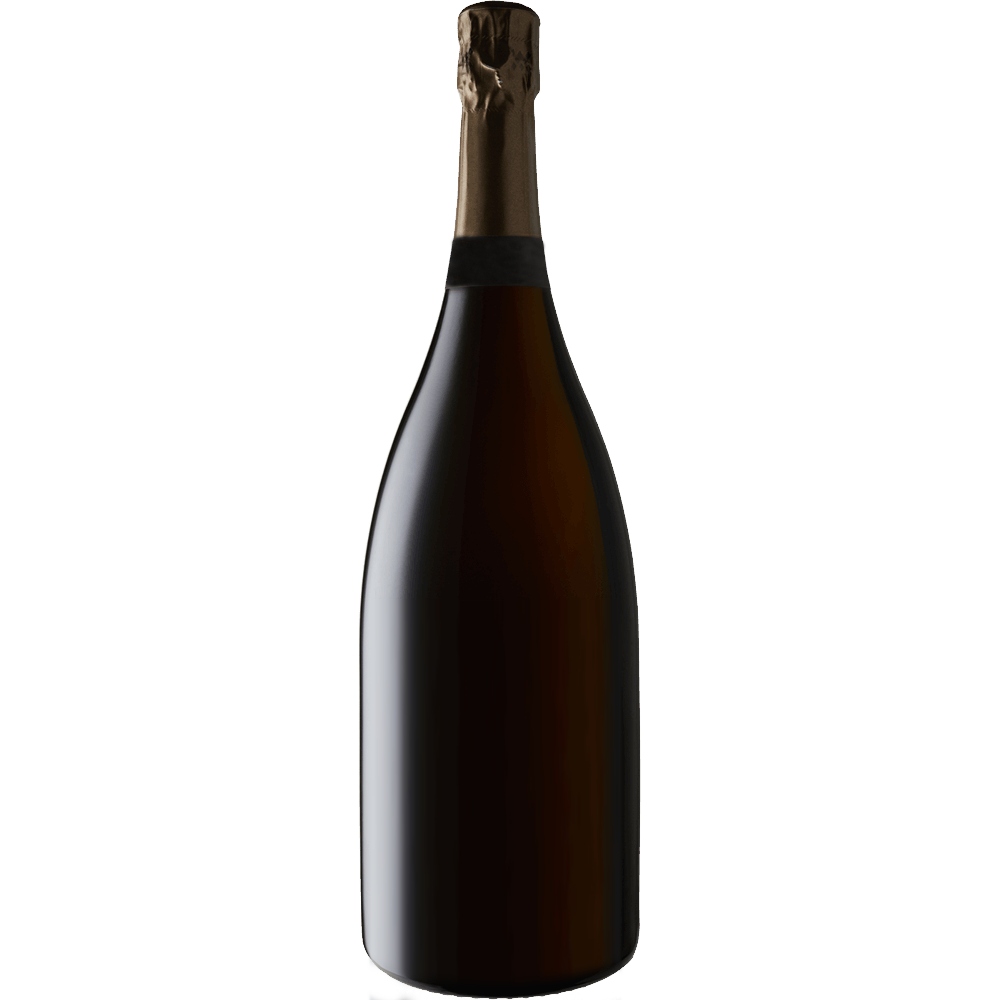 Les Revenants レ ルヴナン 2022年 シャンパン 750ml Etienne Calsac 'Les Revenants' Champagne NV – Verve Wine