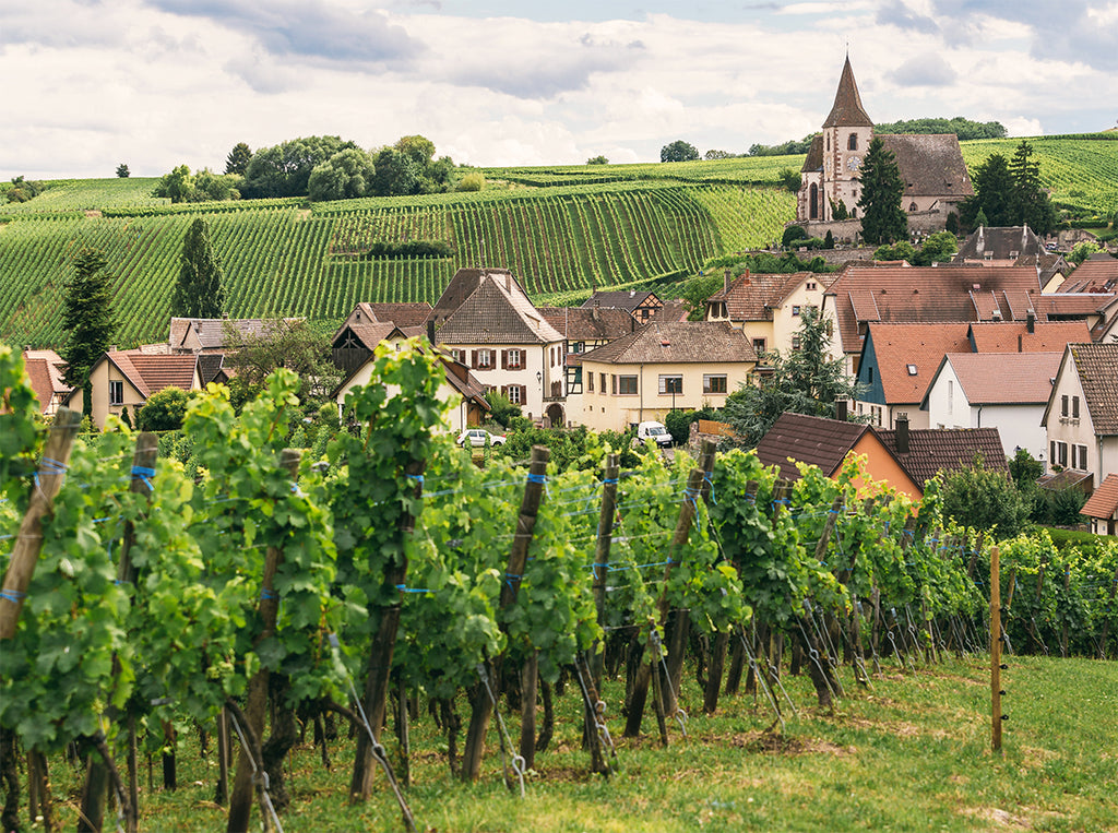 Finding Quality and Value in Burgundy