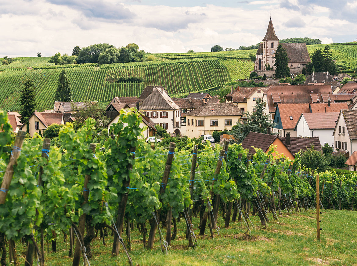 Finding Quality and Value in Burgundy – Verve Wine