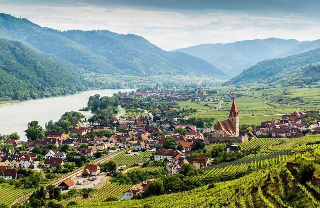 Discover Austria, Central Europe’s Capital for Cool Climate Wines