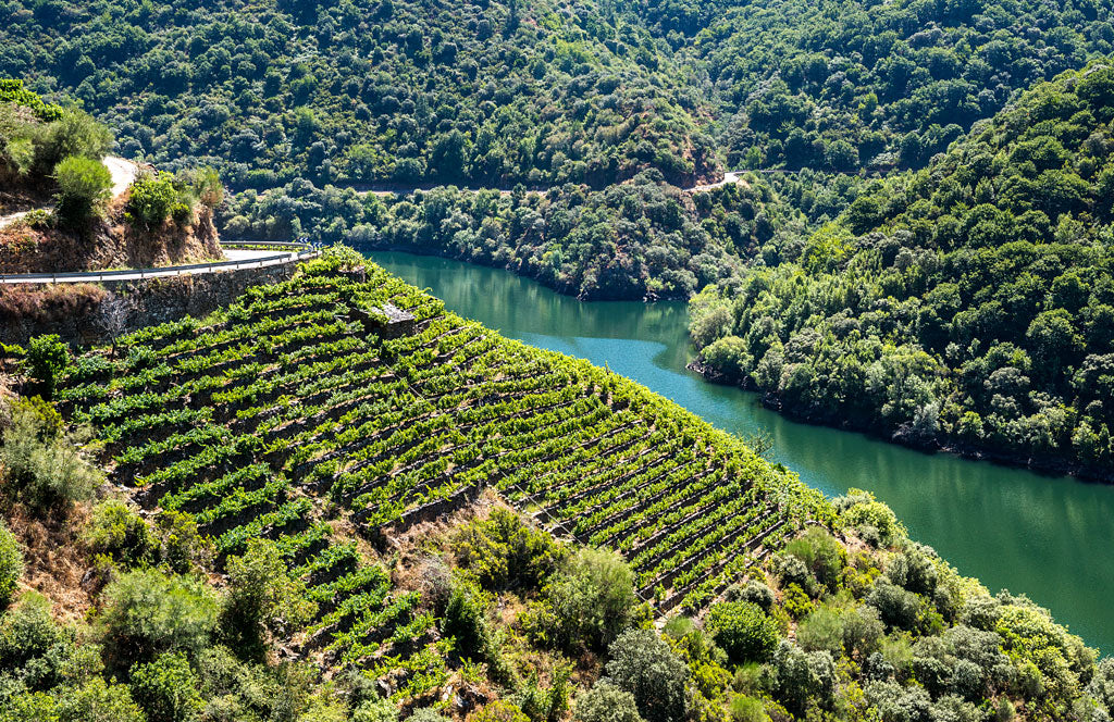 Five of Our Favorite Spanish Natural Wine  Producers