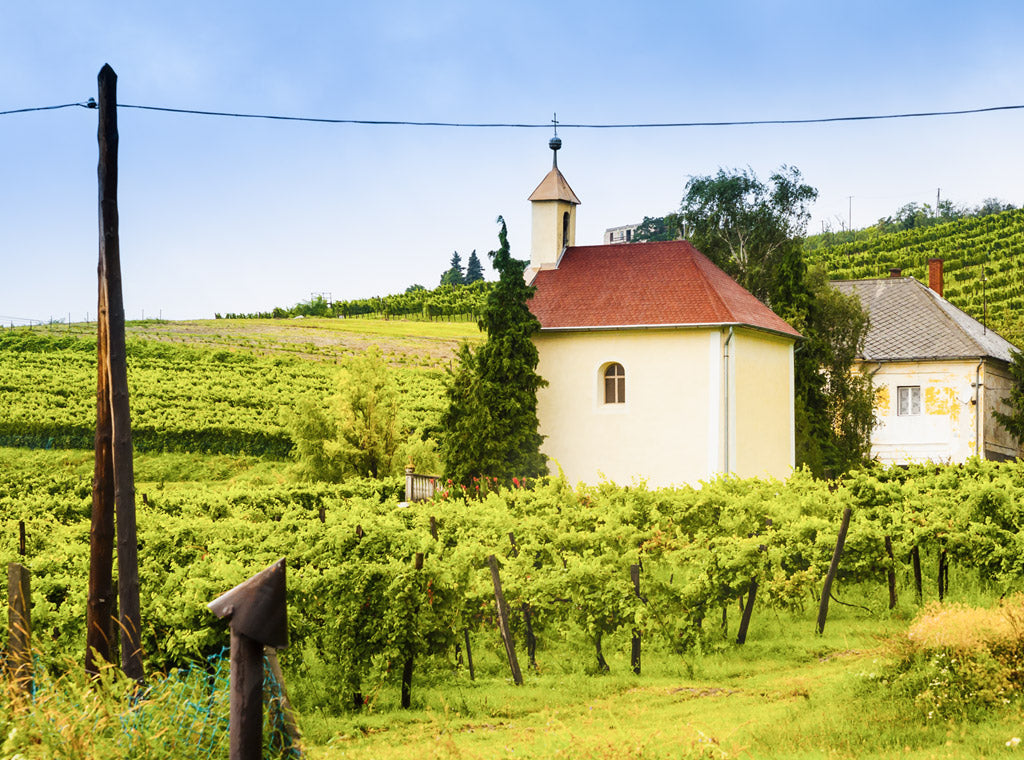 Discover Hungary, Central Europe's Hotbed Rich Dessert Wines & 'Bull's Blood'