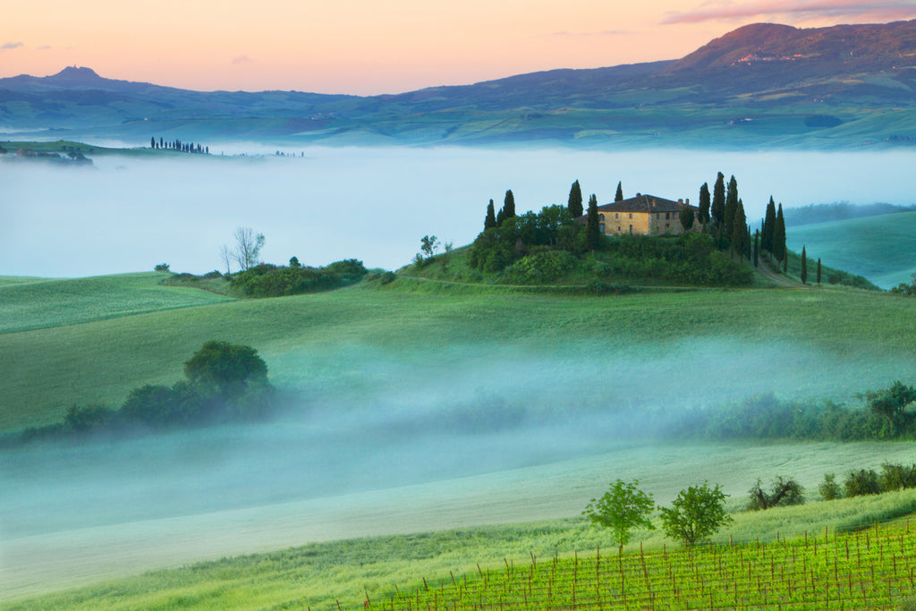 A Guide to Our Favorite Tuscany Producers