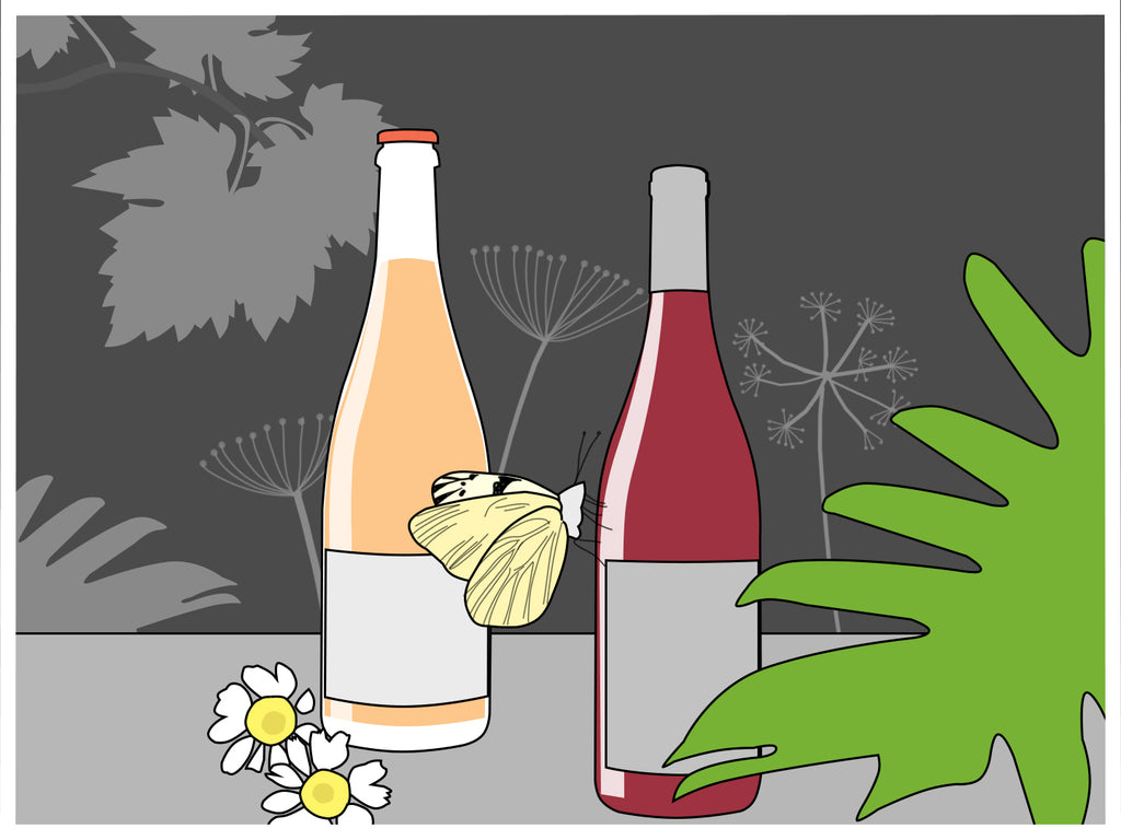 What We Look for In Good Natural Wine