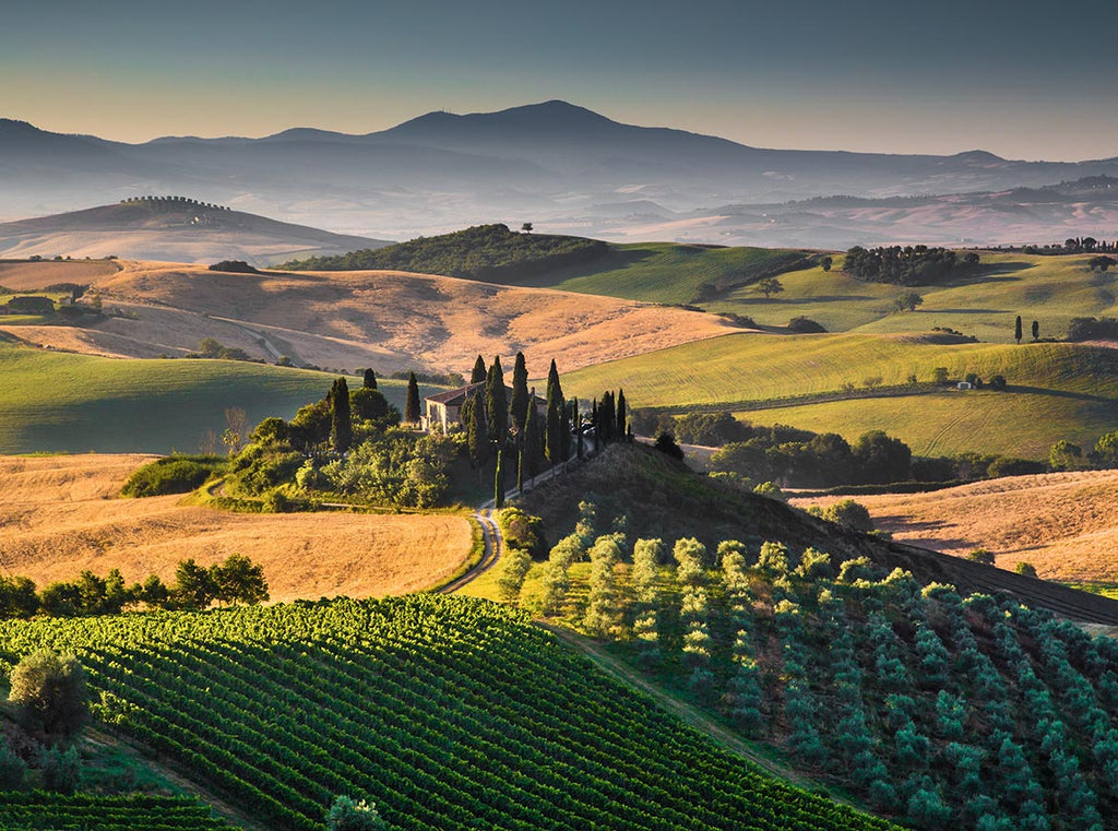 Discover Tuscany - Italy's Most Famous Wine Region