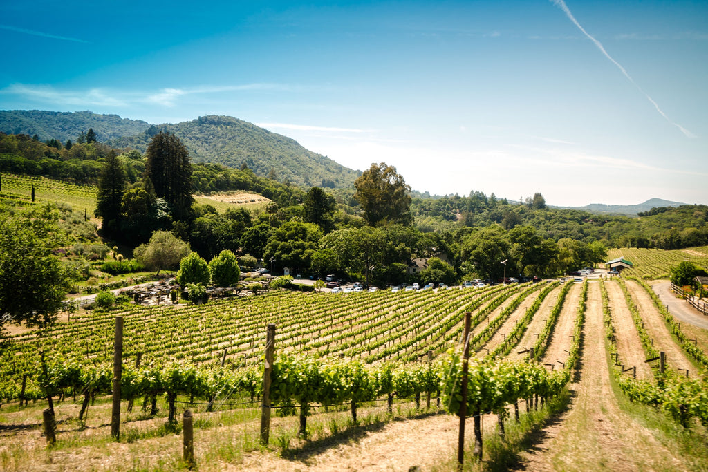 72 Hours in Sonoma, a quick guide to a long weekend in wine country