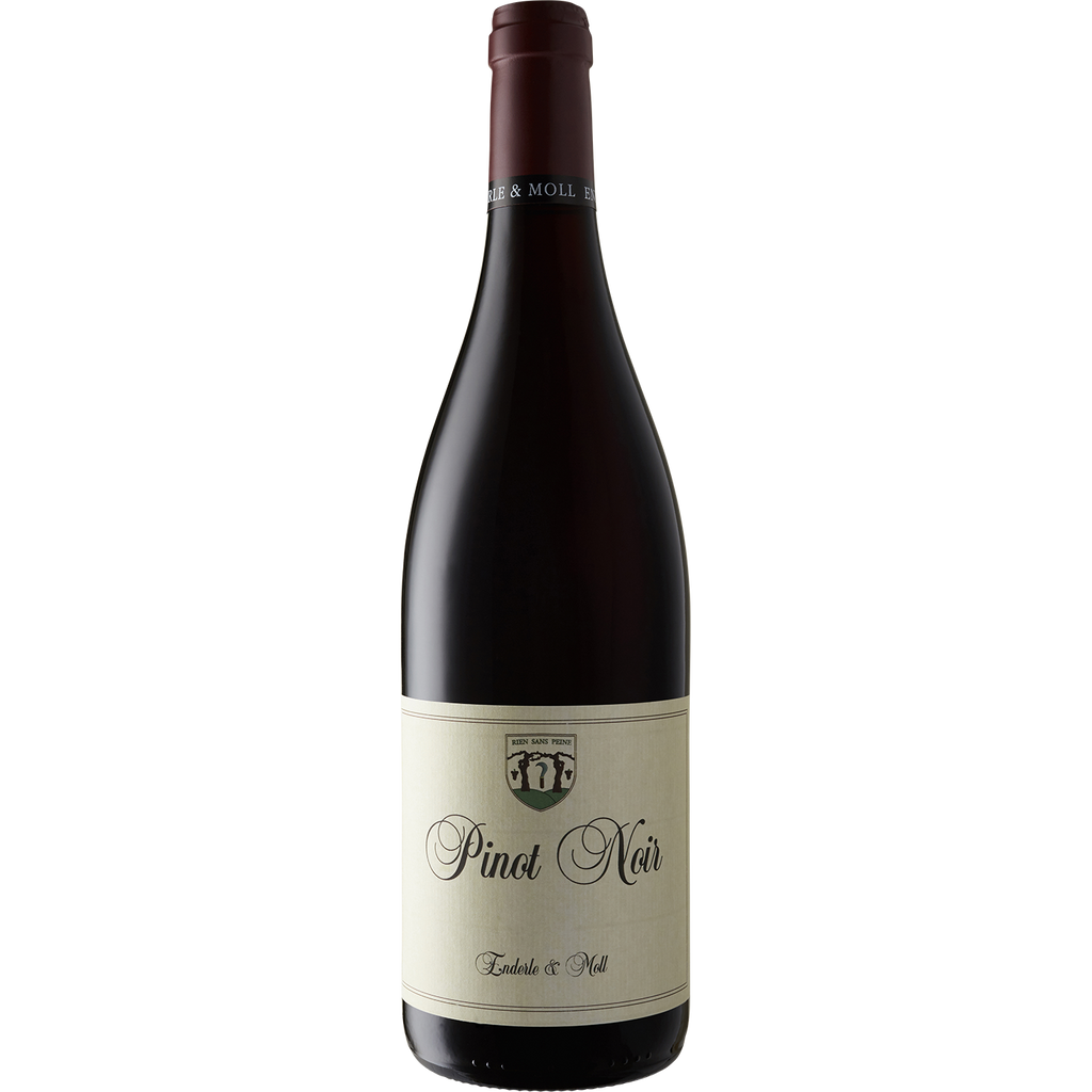 Enderle & Moll Baden Pinot Noir 2021-Wine-Verve Wine