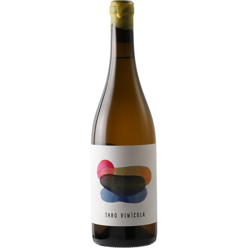 Vinicola Taro Lanzarote Malvasia 2019-Wine-Verve Wine