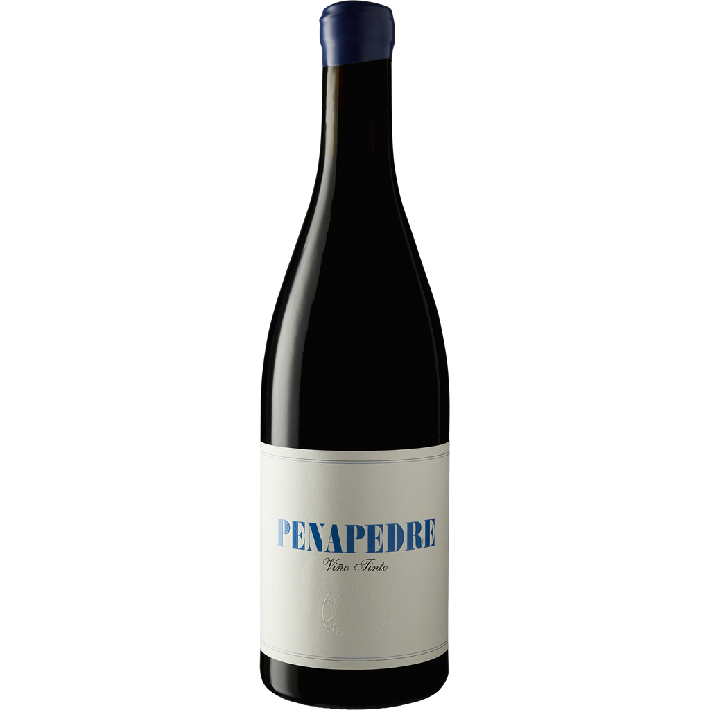 Alberto Nanclares y Prieto Ribeira Sacra Tinto 'Penapedre' 2015-Wine-Verve Wine