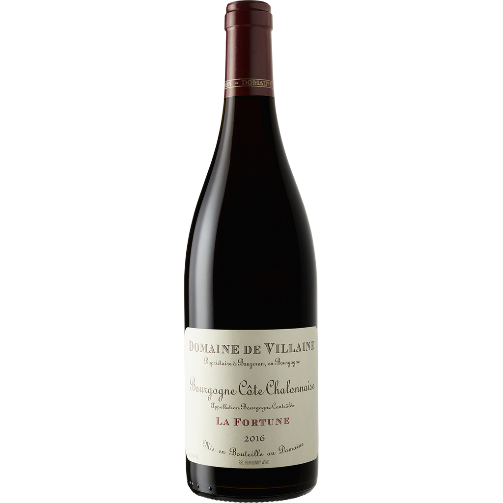 Domaine de Villaine Bourgogne Cote Chalonnaise 'La Fortune' 2016-Wine-Verve Wine