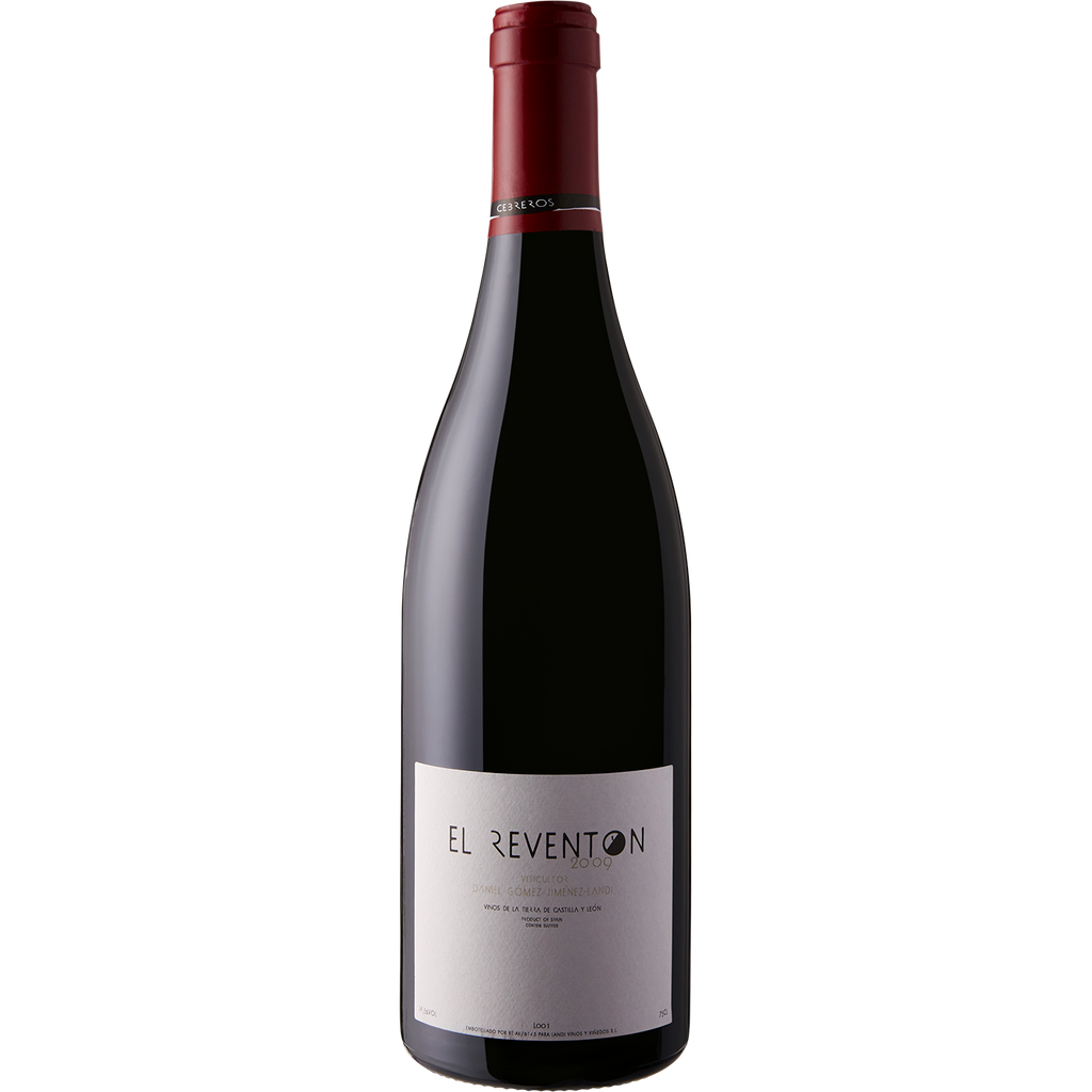 Jimenez-Landi VT Castilla y Leon 'El Reventon' 2009-Wine-Verve Wine