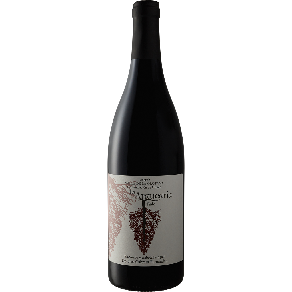 Dolores Cabrera Fernandez Canary Islands Tinto 'La Araucaria' 2016-Wine-Verve Wine