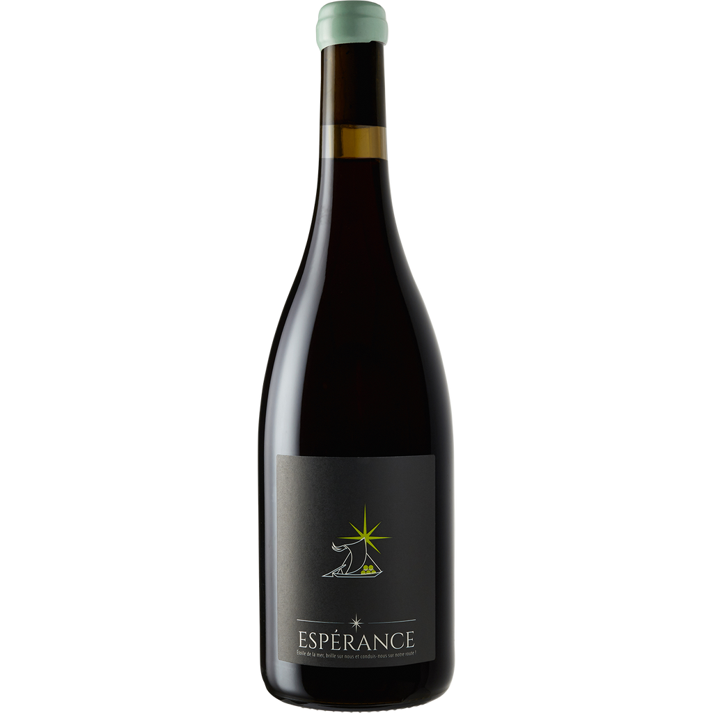 Clos de l'Elu VdF Pineau d'Aunis 'Esperance' 2016-Wine-Verve Wine