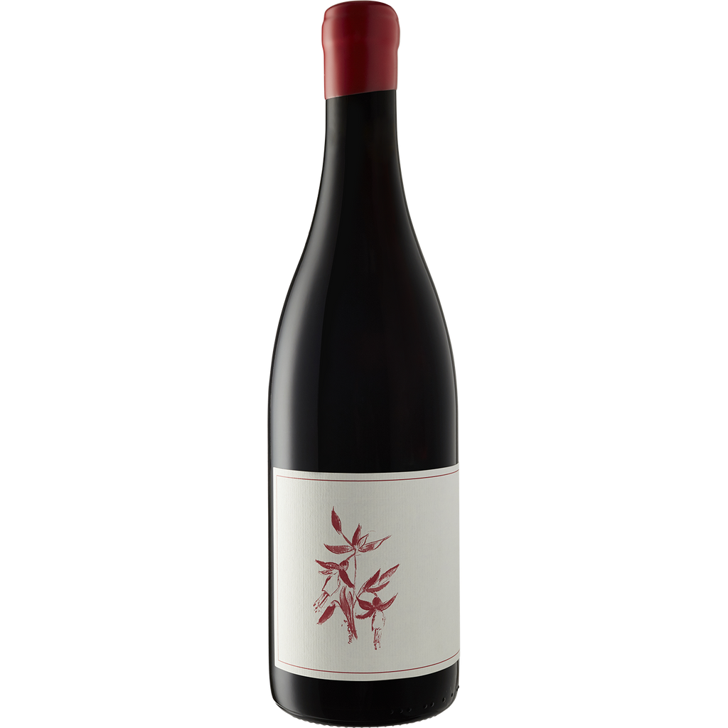 Arnot-Roberts Pinot Noir 'Coastlands' Sonoma 2017-Wine-Verve Wine