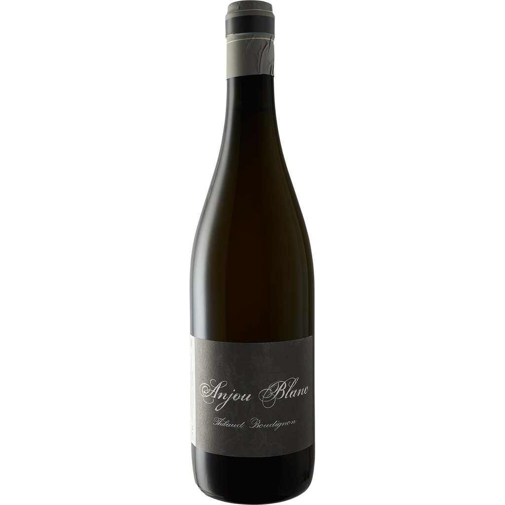 Thibaud Boudignon Anjou Blanc 2017-Wine-Verve Wine