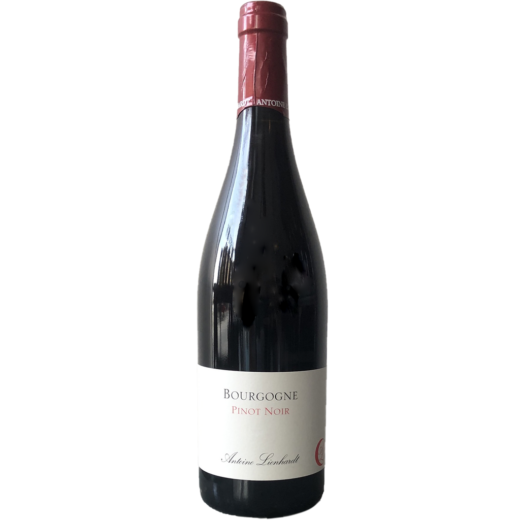 Antoine Lienhardt Bourgogne Rouge 2019-Wine-Verve Wine