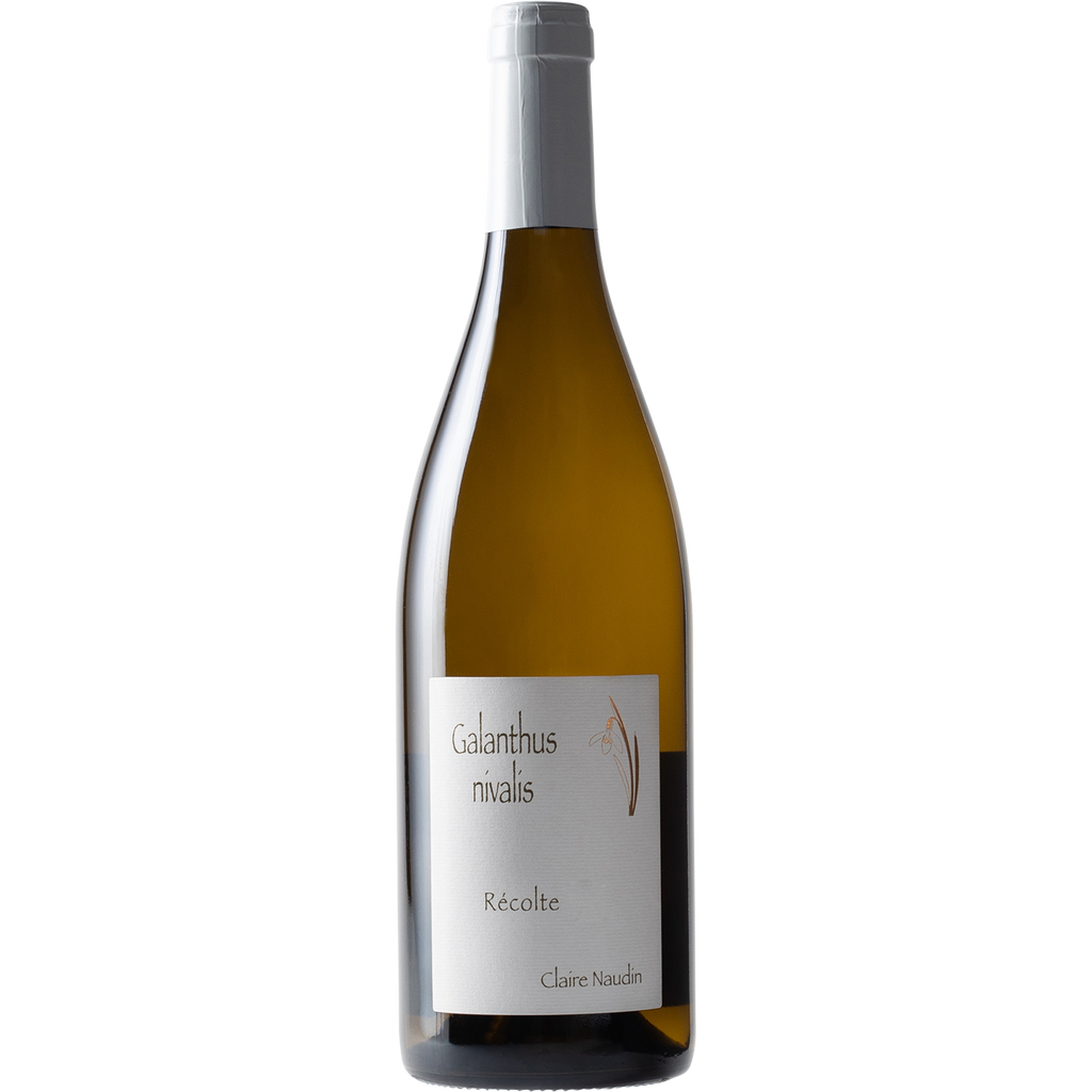 Domaine Naudin-Ferrand VdF Pinot Blanc 'Galanthus Nivalis' 2017-Wine-Verve Wine