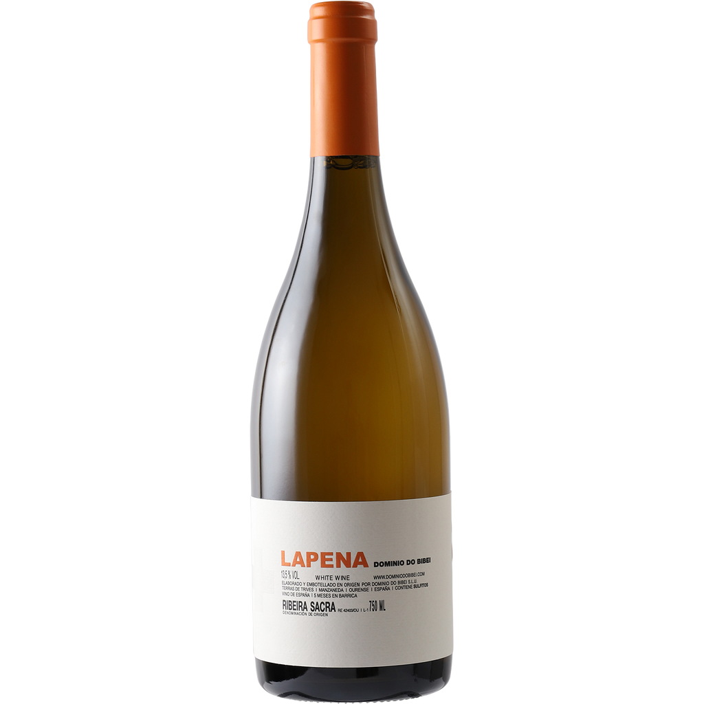 Dominio do Bibei Ribeira Sacra Godello 'Lapena' 2014-Wine-Verve Wine