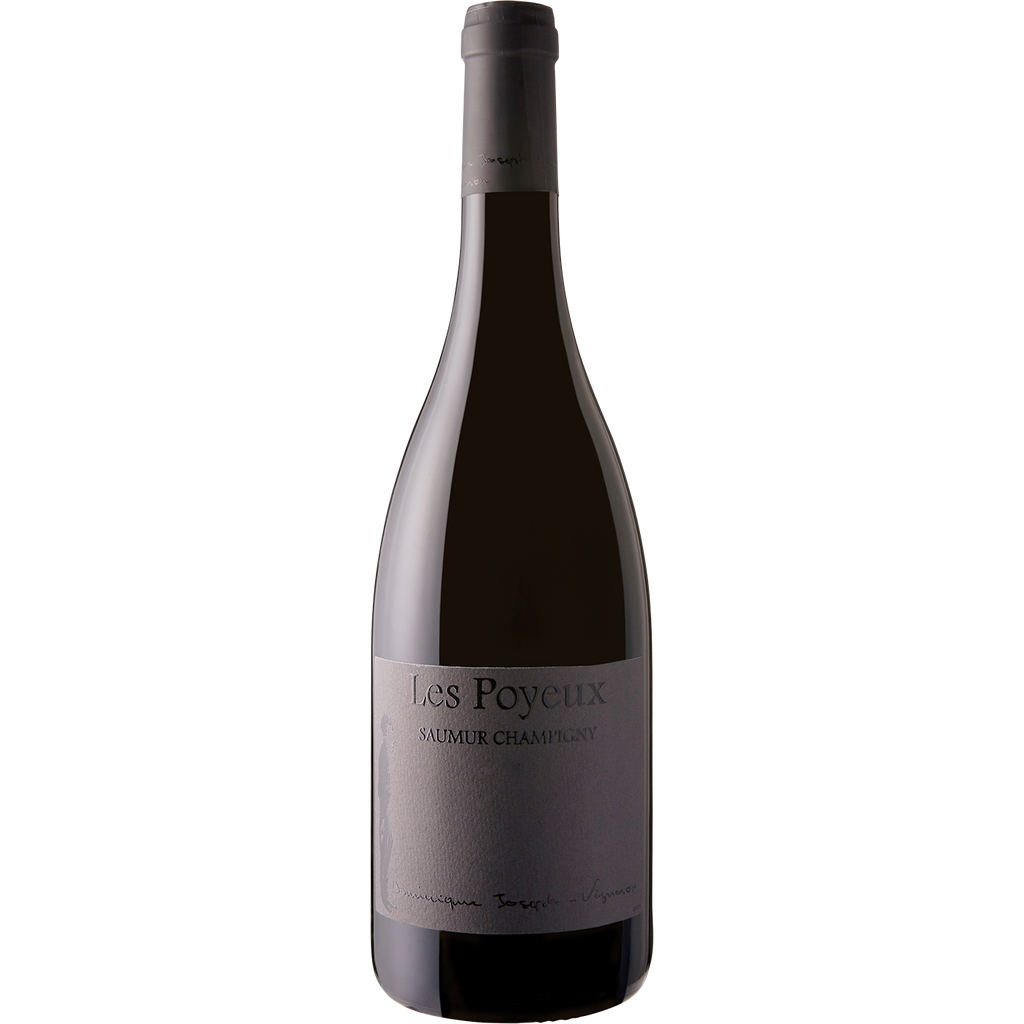 Le Petit Saint Vincent Saumur Champigny 'Les Poyeux' 2016-Wine-Verve Wine
