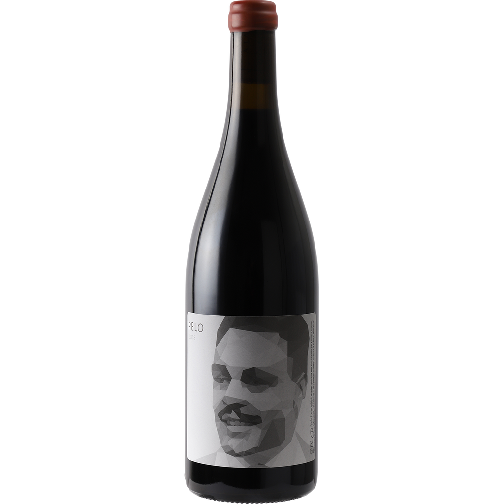 Olivier Lejeune VdF Rouge 'Pelo' 2018-Wine-Verve Wine