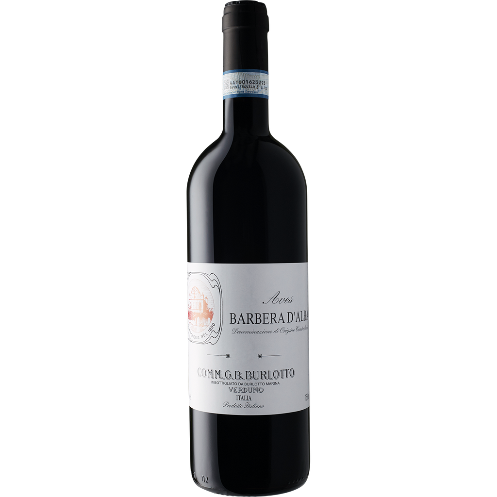 Burlotto Barbera d'Alba 'Aves' 2016-Wine-Verve Wine