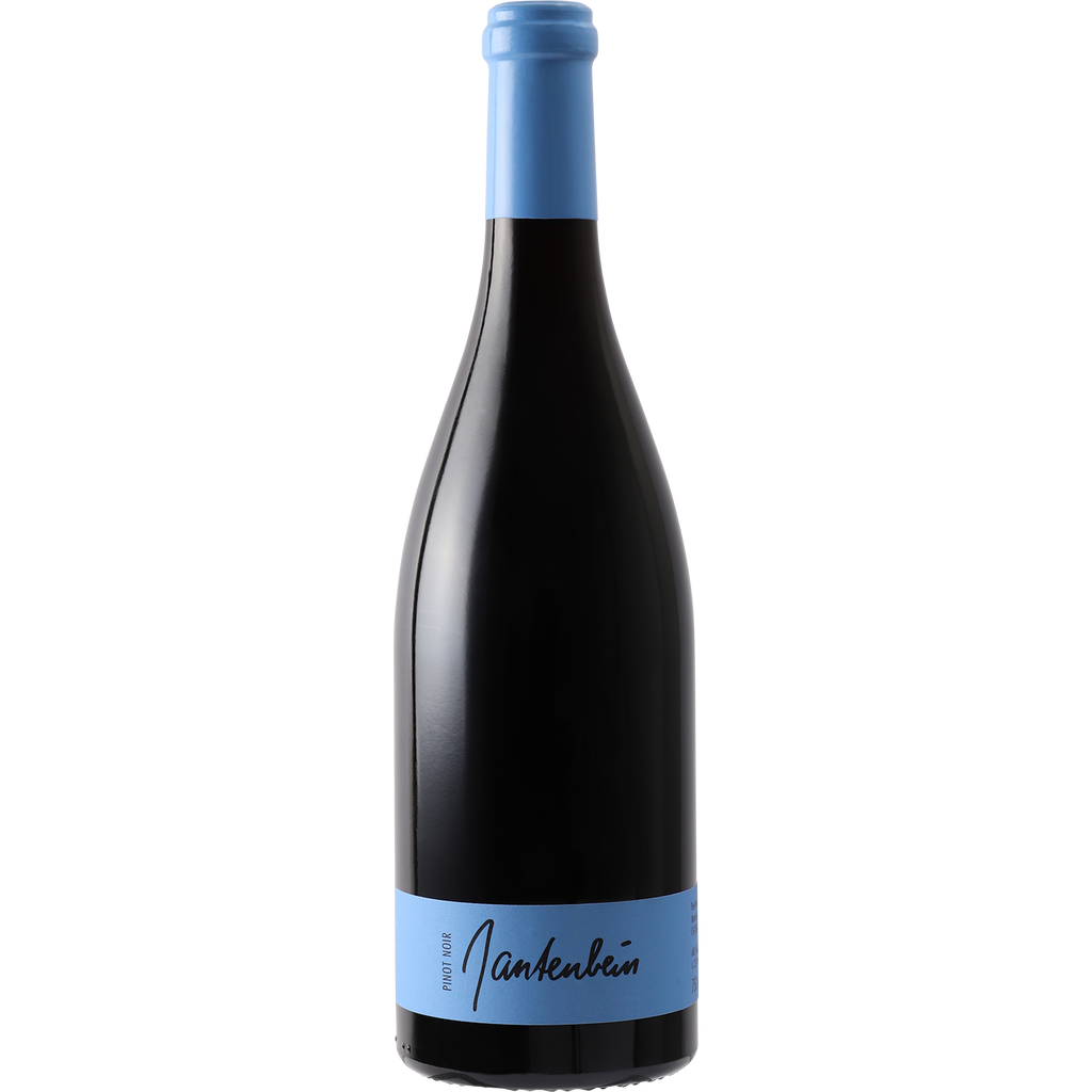 Gantenbein Pinot Noir Switzerland 2015-Wine-Verve Wine