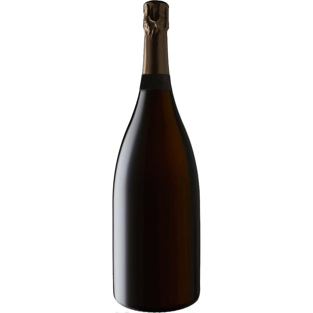 Bereche 'Campania Remensis' Extra Brut Rose Champagne 2015-Wine-Verve Wine