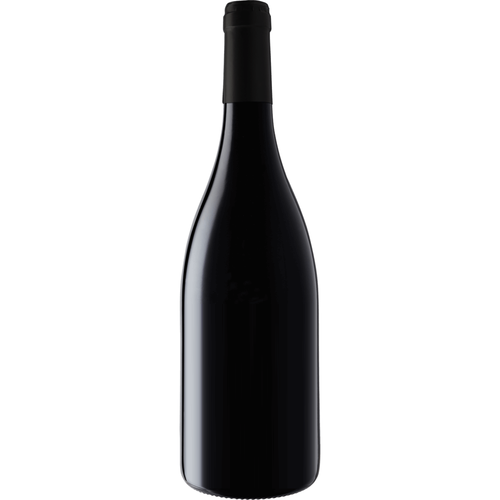 Matthiasson Pinot Noir 'Spring Hill' Petaluma Gap 2015-Wine-Verve Wine