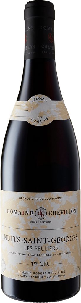 Domaine Chevillon Nuits-St-Georges 1er Cru 'Les Pruliers' 2019-Wine-Verve Wine