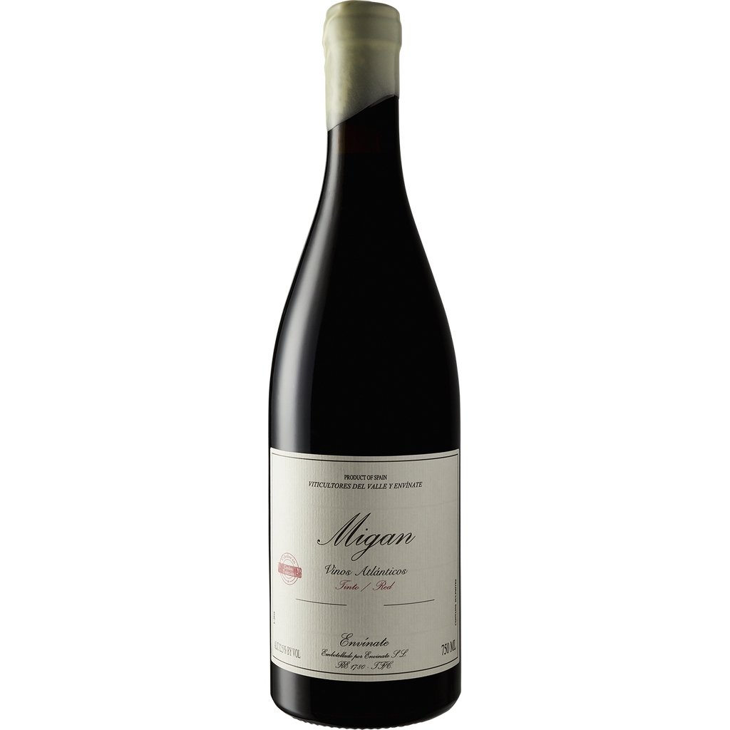Envinate Canary Islands Tinto 'Migan' 2020-Wine-Verve Wine