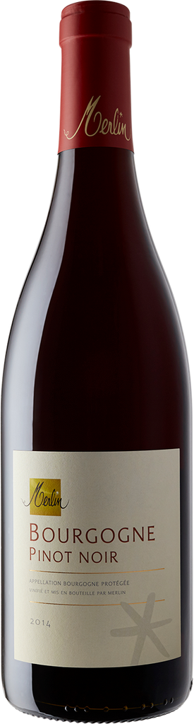Olivier Merlin Bourgogne Rouge 2020-Wine-Verve Wine
