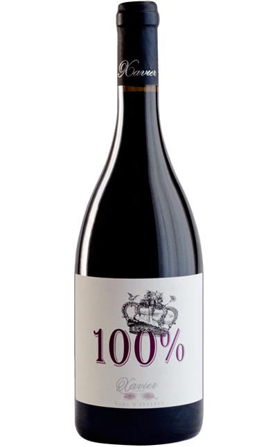 Xavier Vignon Cotes du Rhone '100%' 2016-Wine-Verve Wine