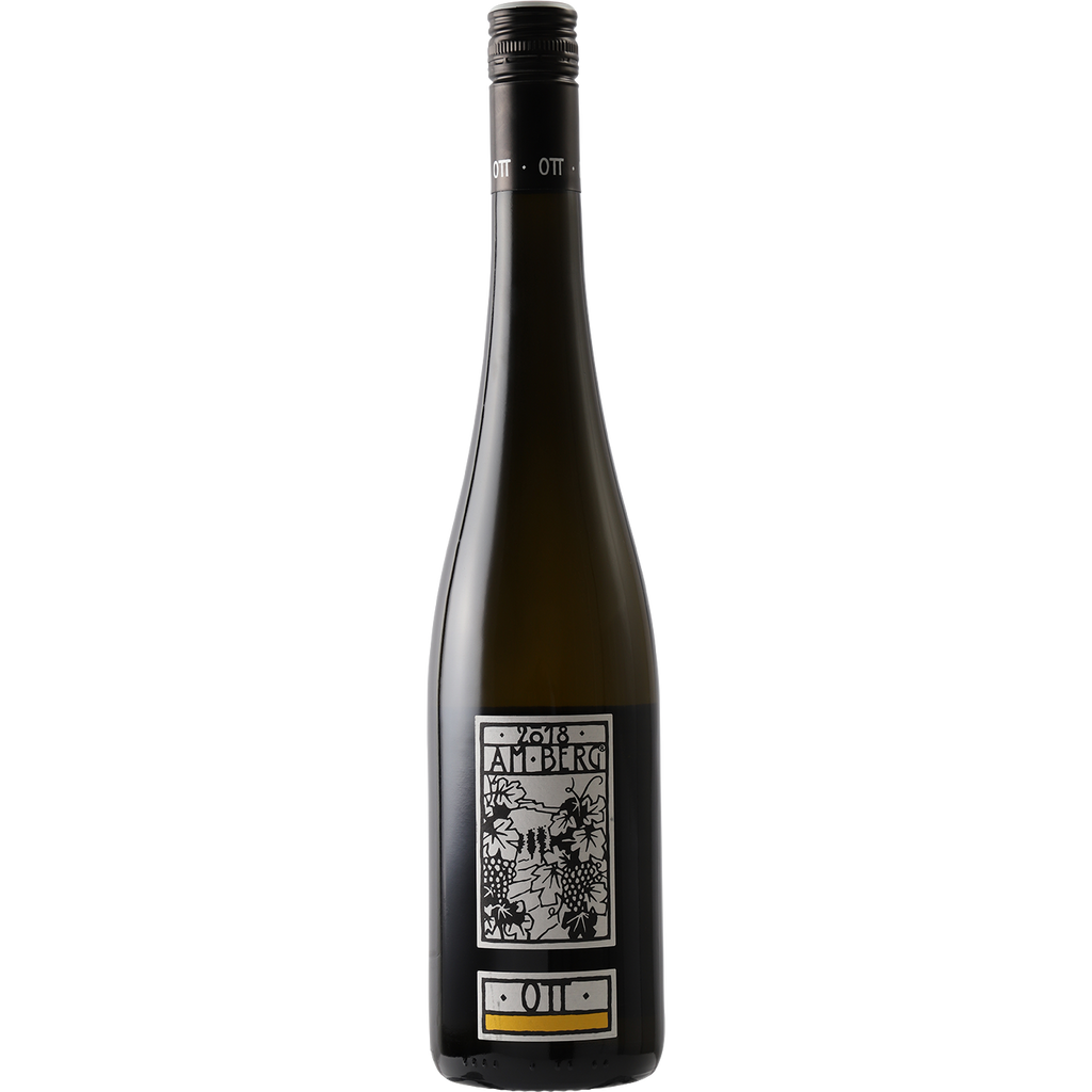 Bernhard Ott Gruner Veltliner 'Am Berg' Wagram 2021-Wine-Verve Wine